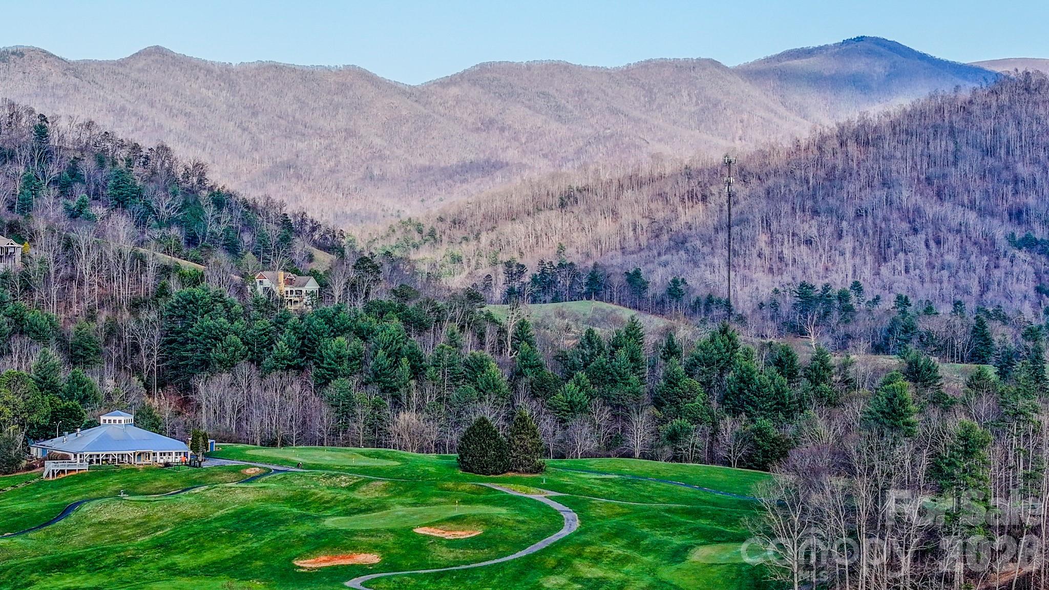Reems Creek Golf Community - Land