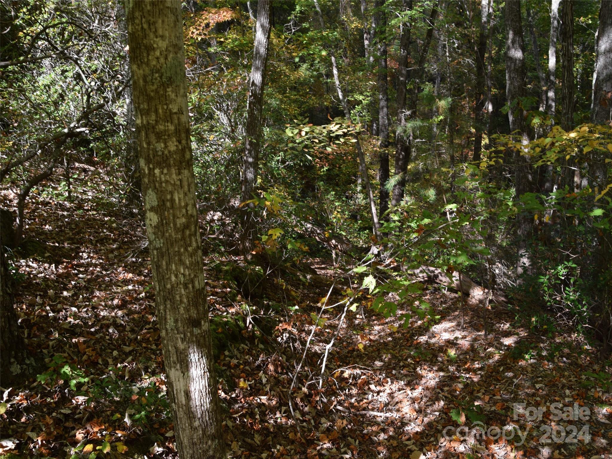 381 Martha Lynns Lane