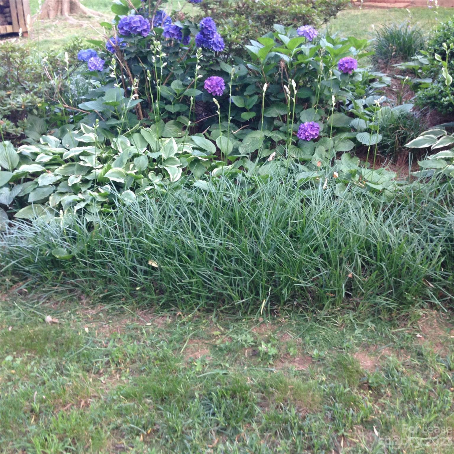 Kilbourne Acres - Residential Lease