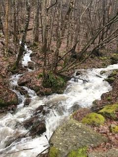 Smoky Mountain Retreat at Eagles Nest - Land