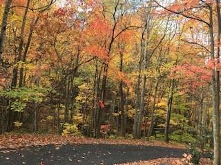 Smoky Mountain Retreat at Eagles Nest - Land