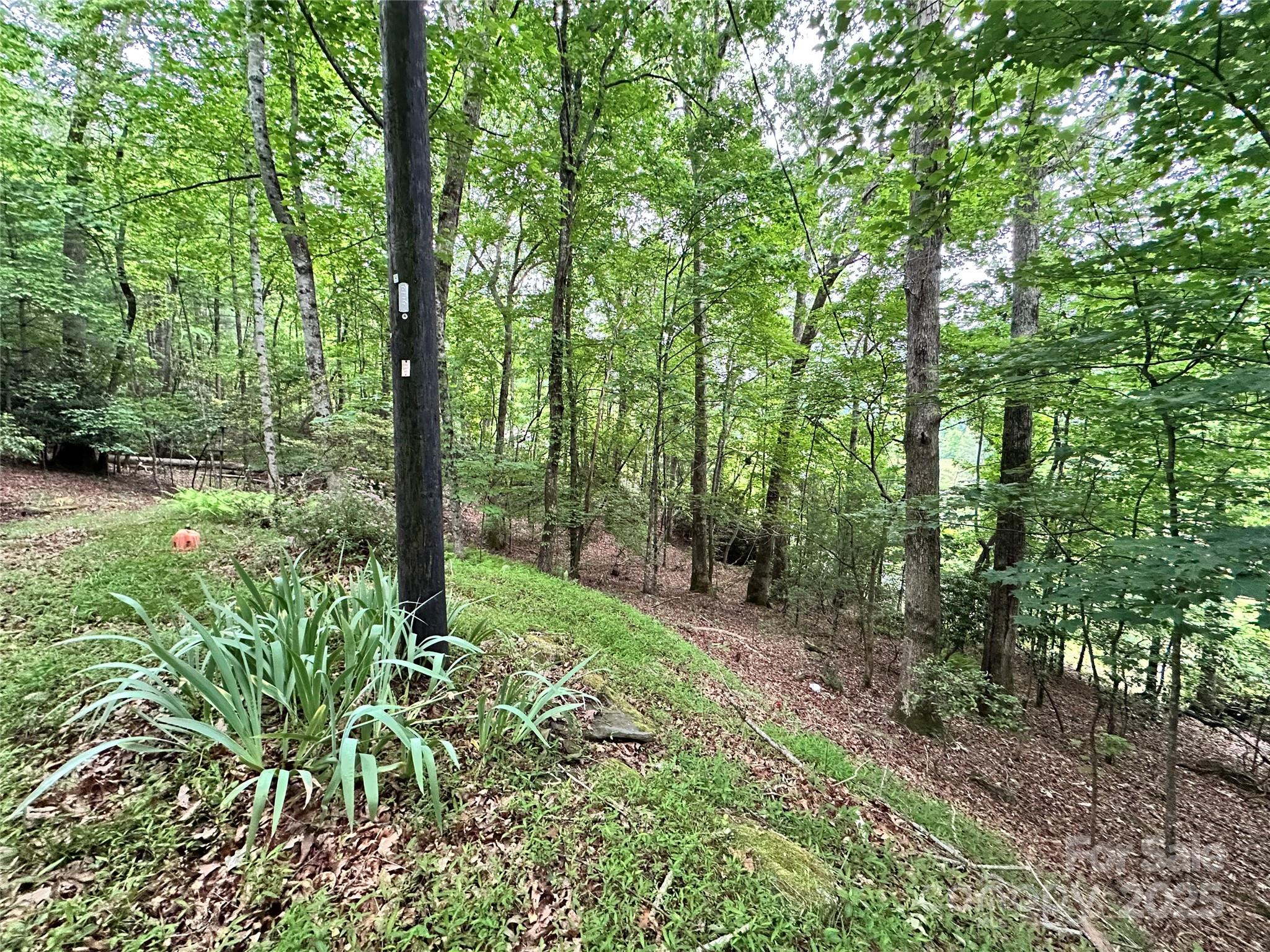 98 Long Pine Drive