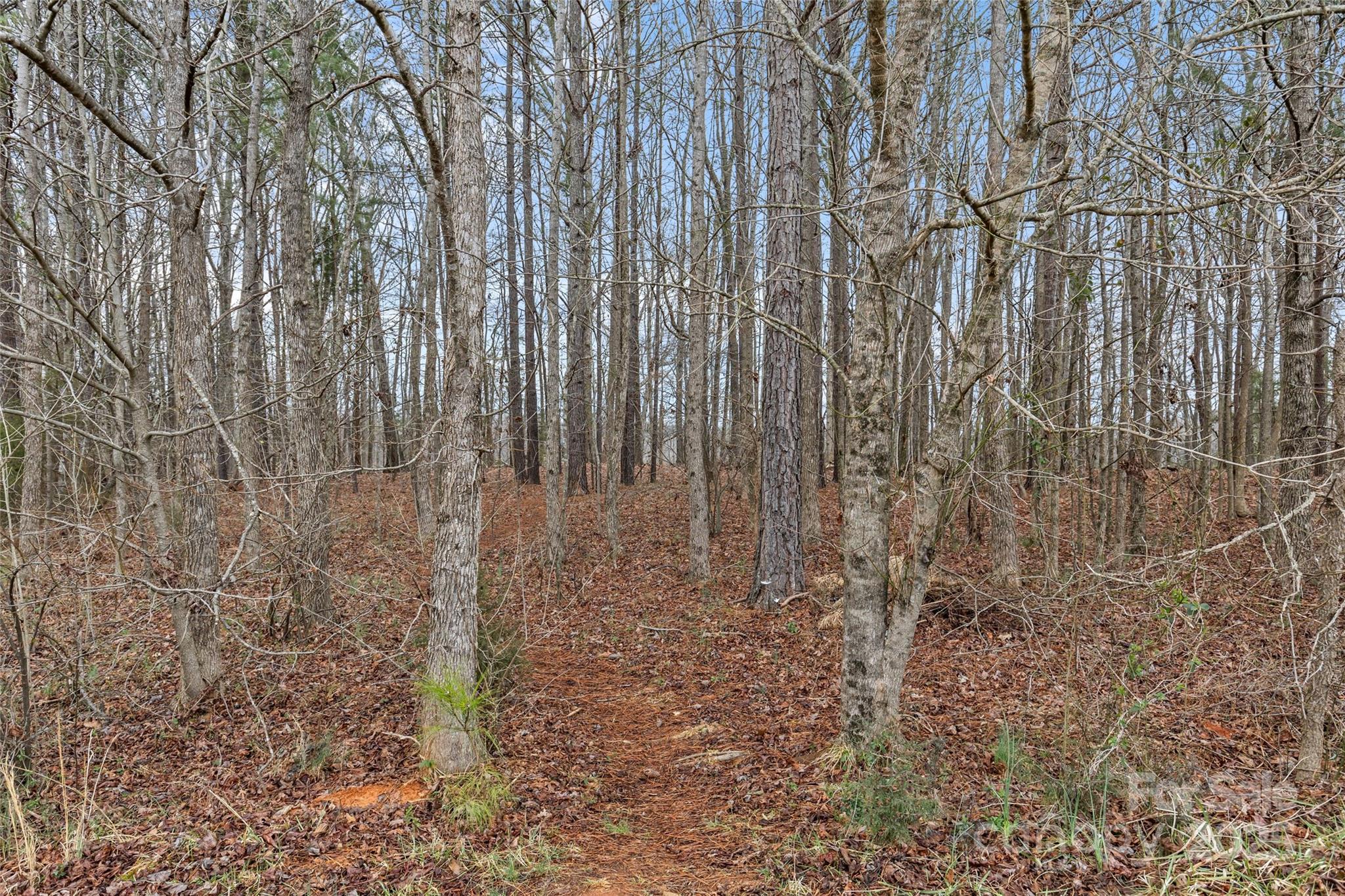 The Parks - Residential