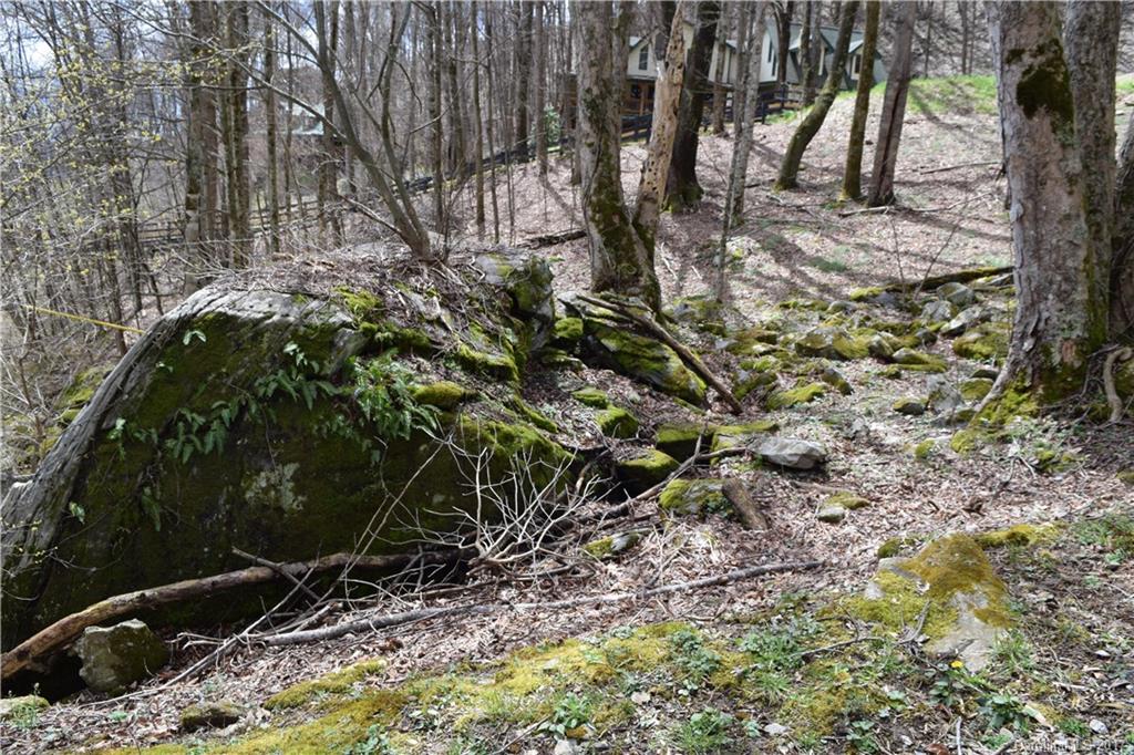 Crystal tree - Residential