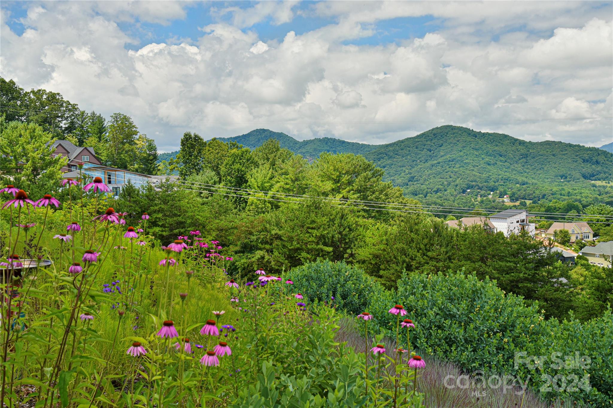 Leicester Village - Residential