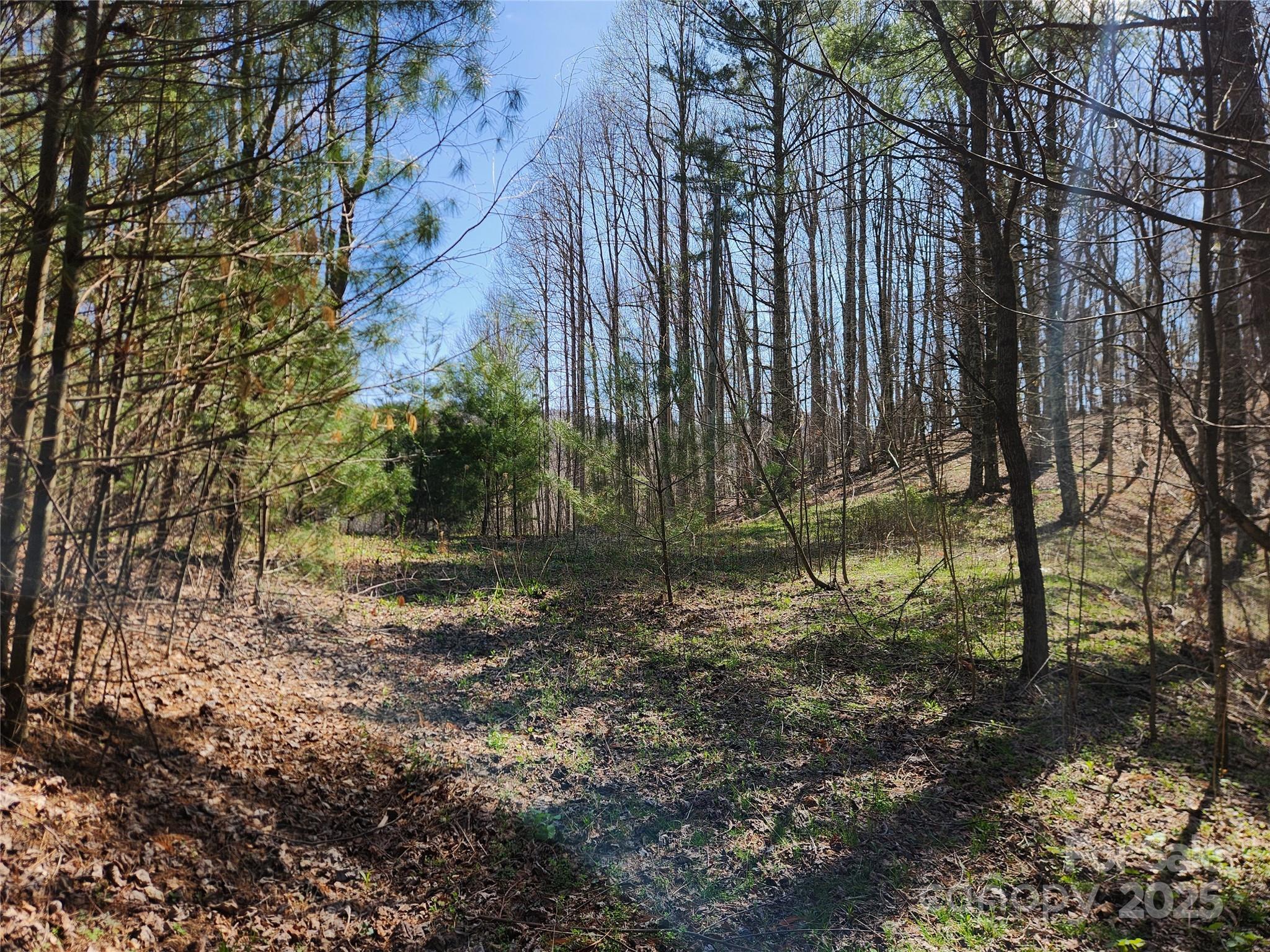 6033 Hwy 321 Highway