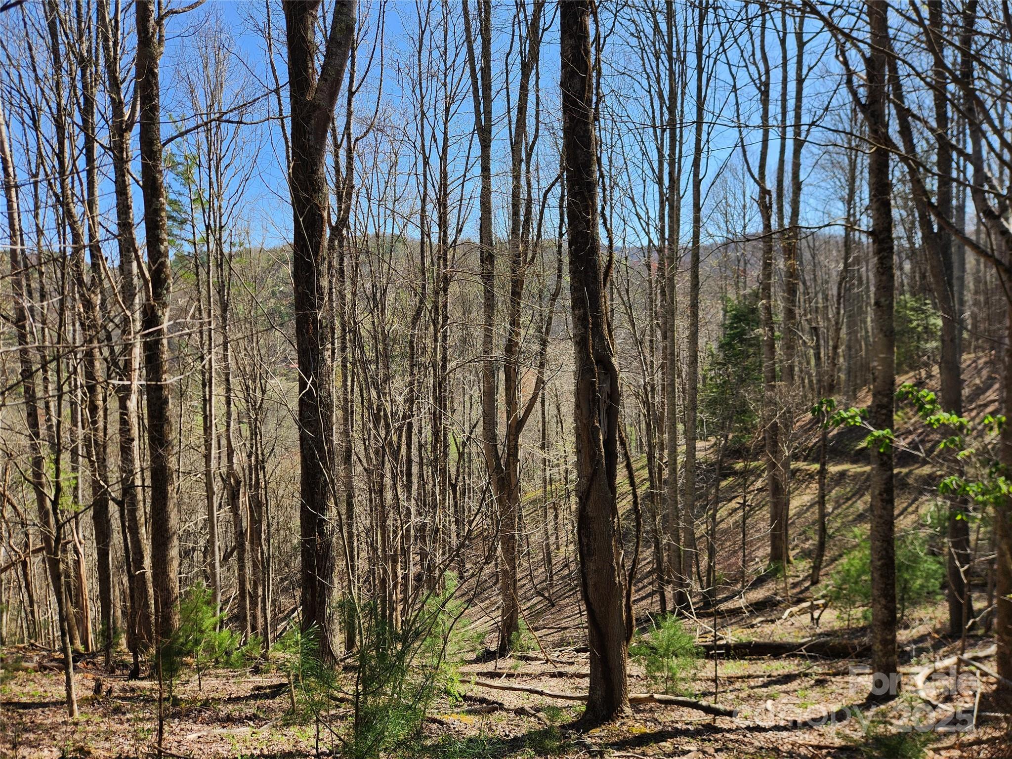 6033 Hwy 321 Highway