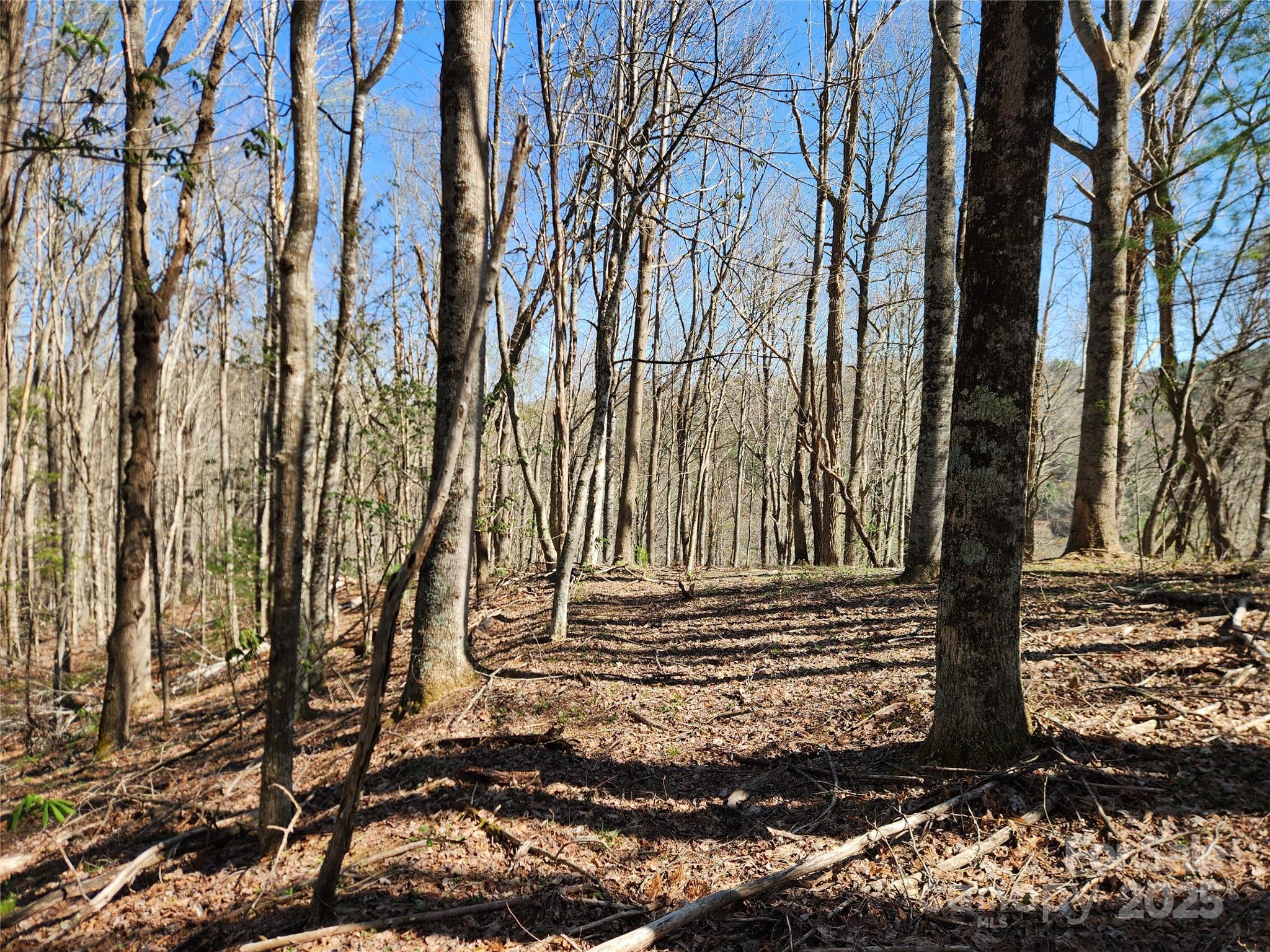 6033 Hwy 321 Highway