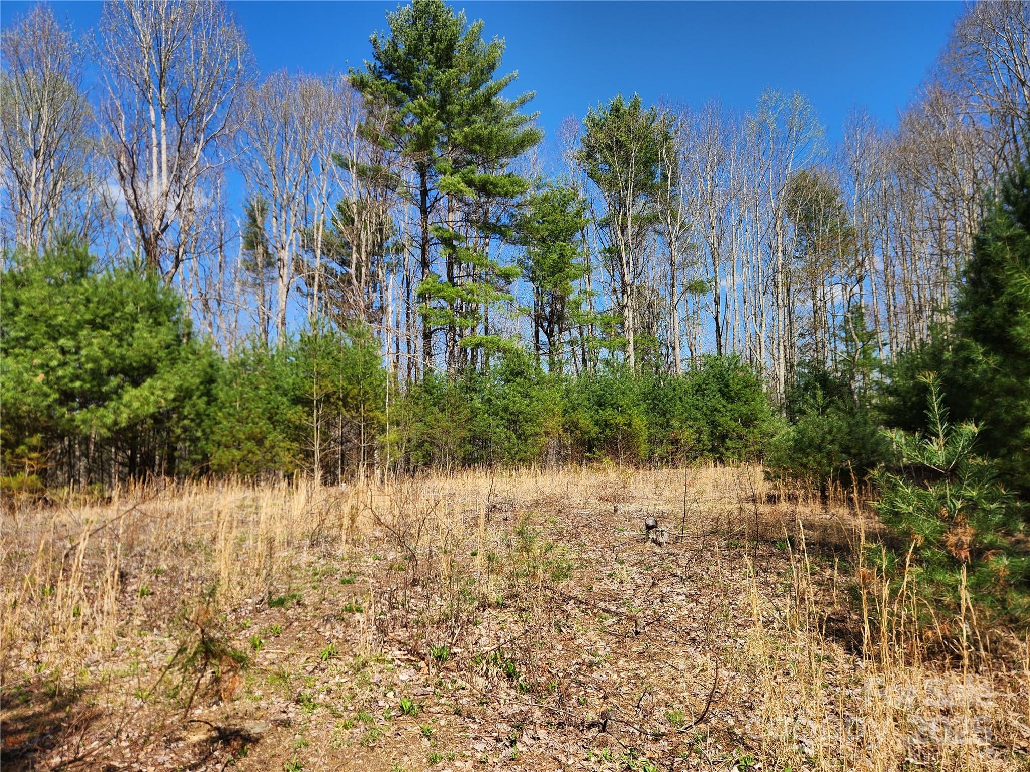 6033 Hwy 321 Highway