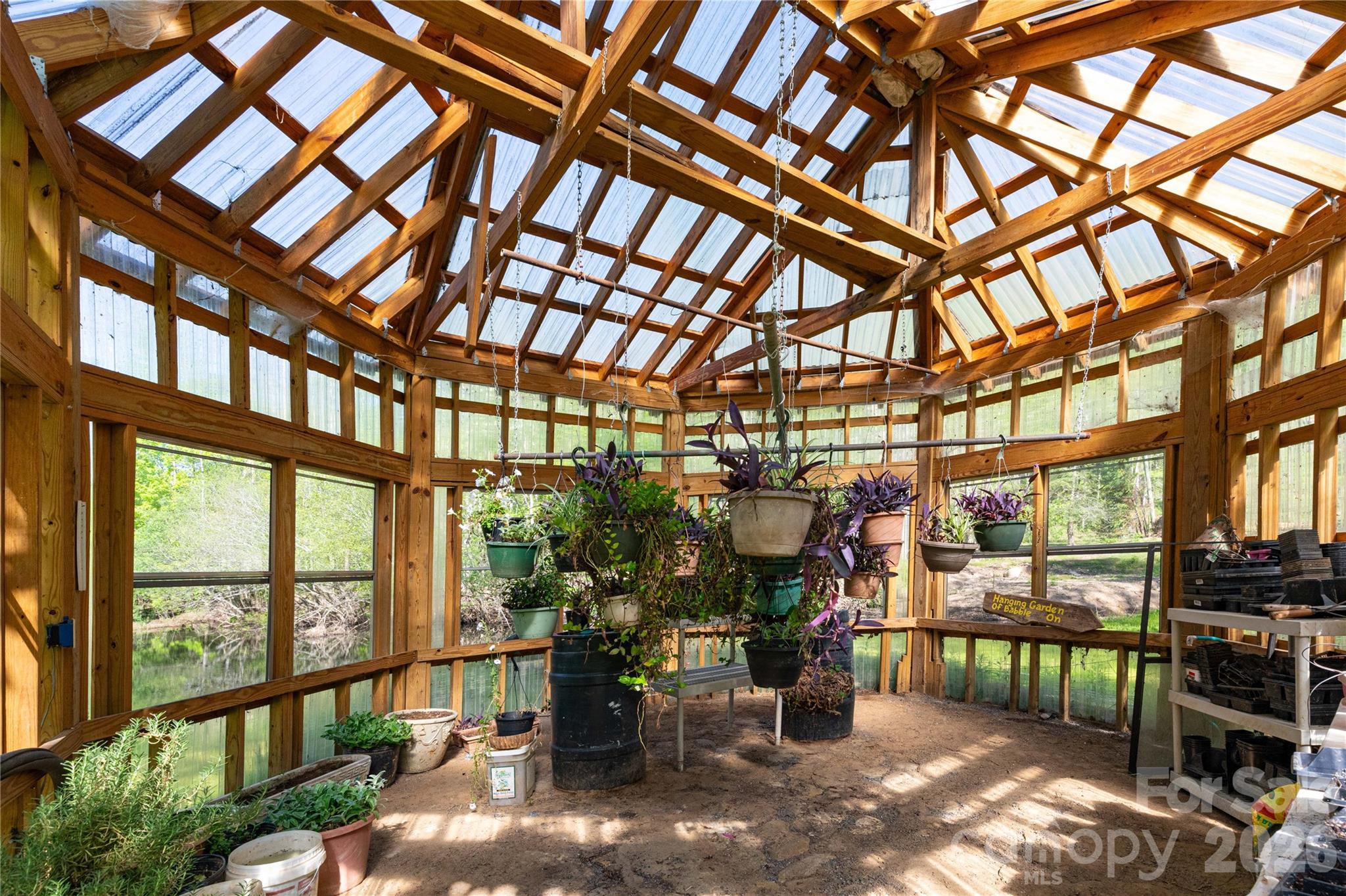 Bee Tree - Residential