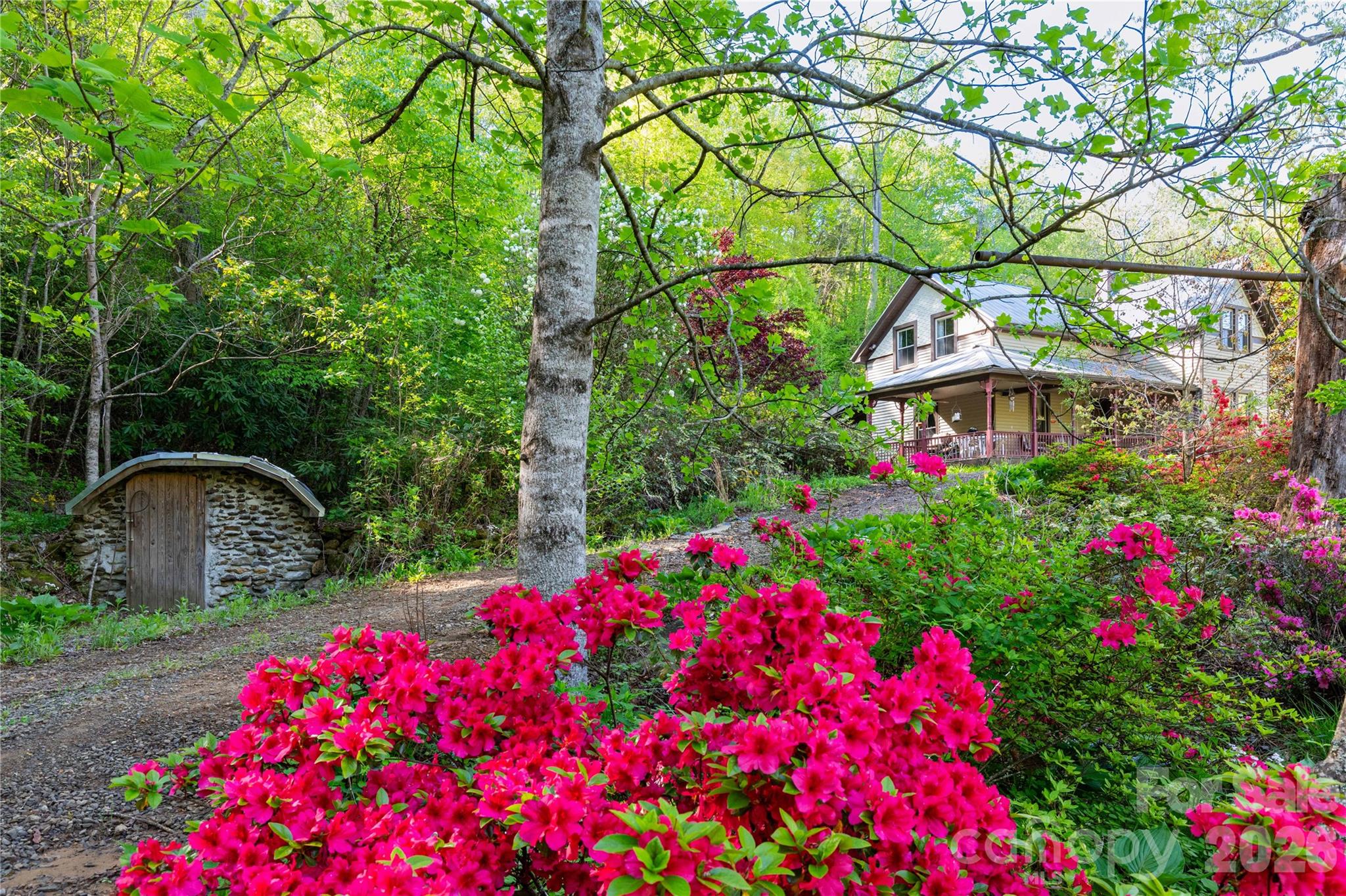 Bee Tree - Residential