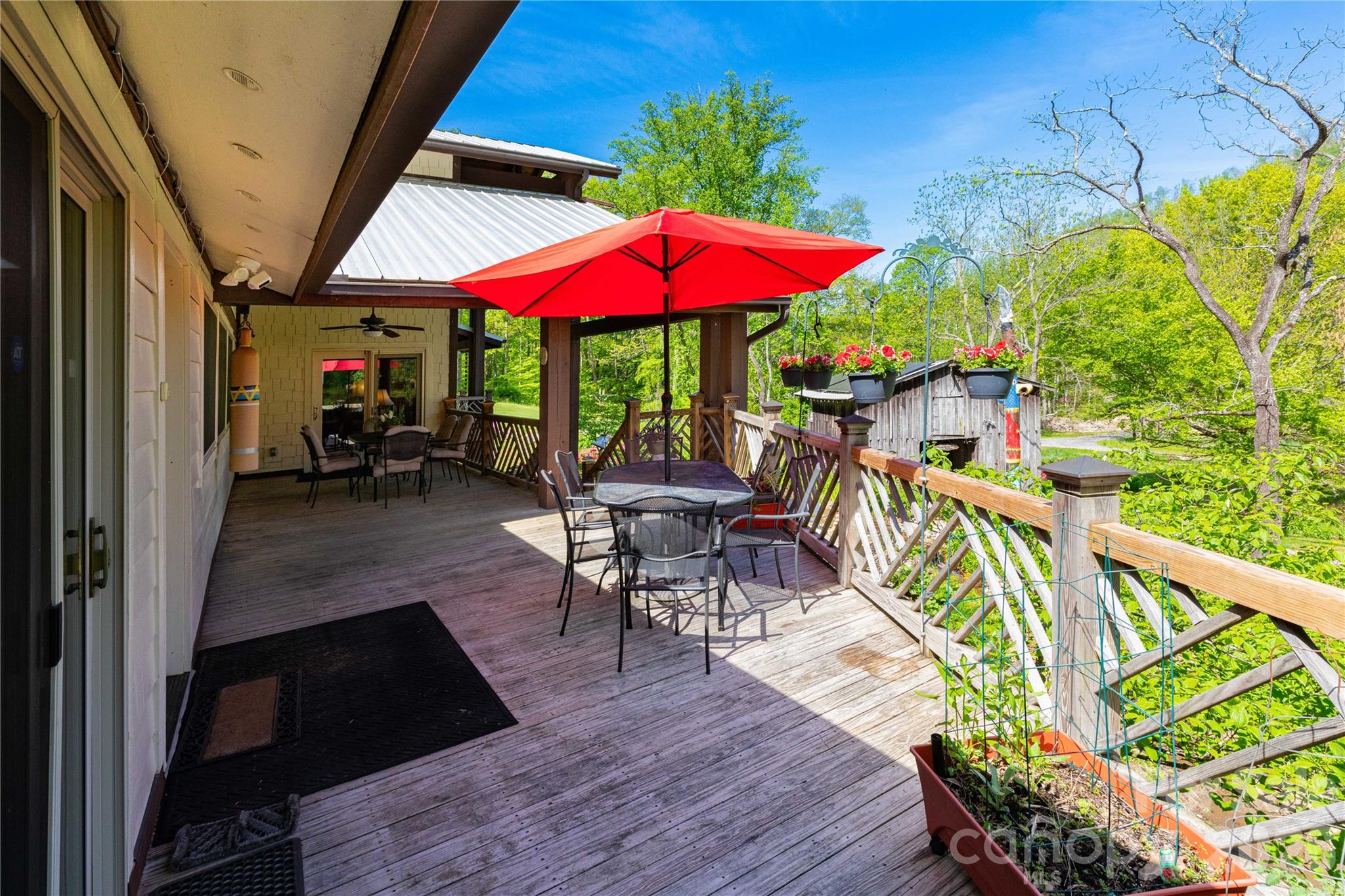 Bee Tree - Residential