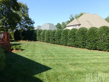 Lawsons Creek - Residential