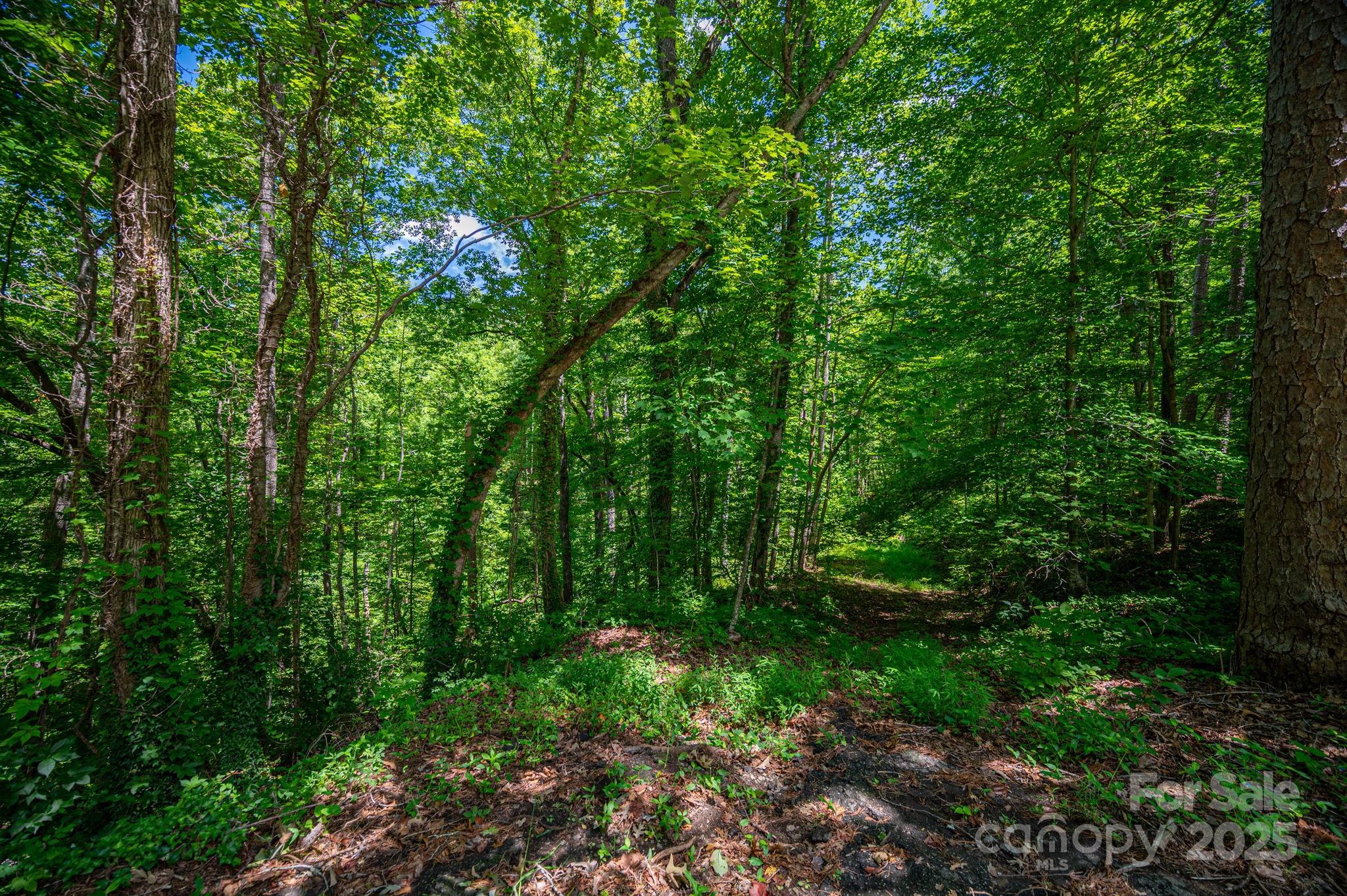 LOT 168 Plantation Drive