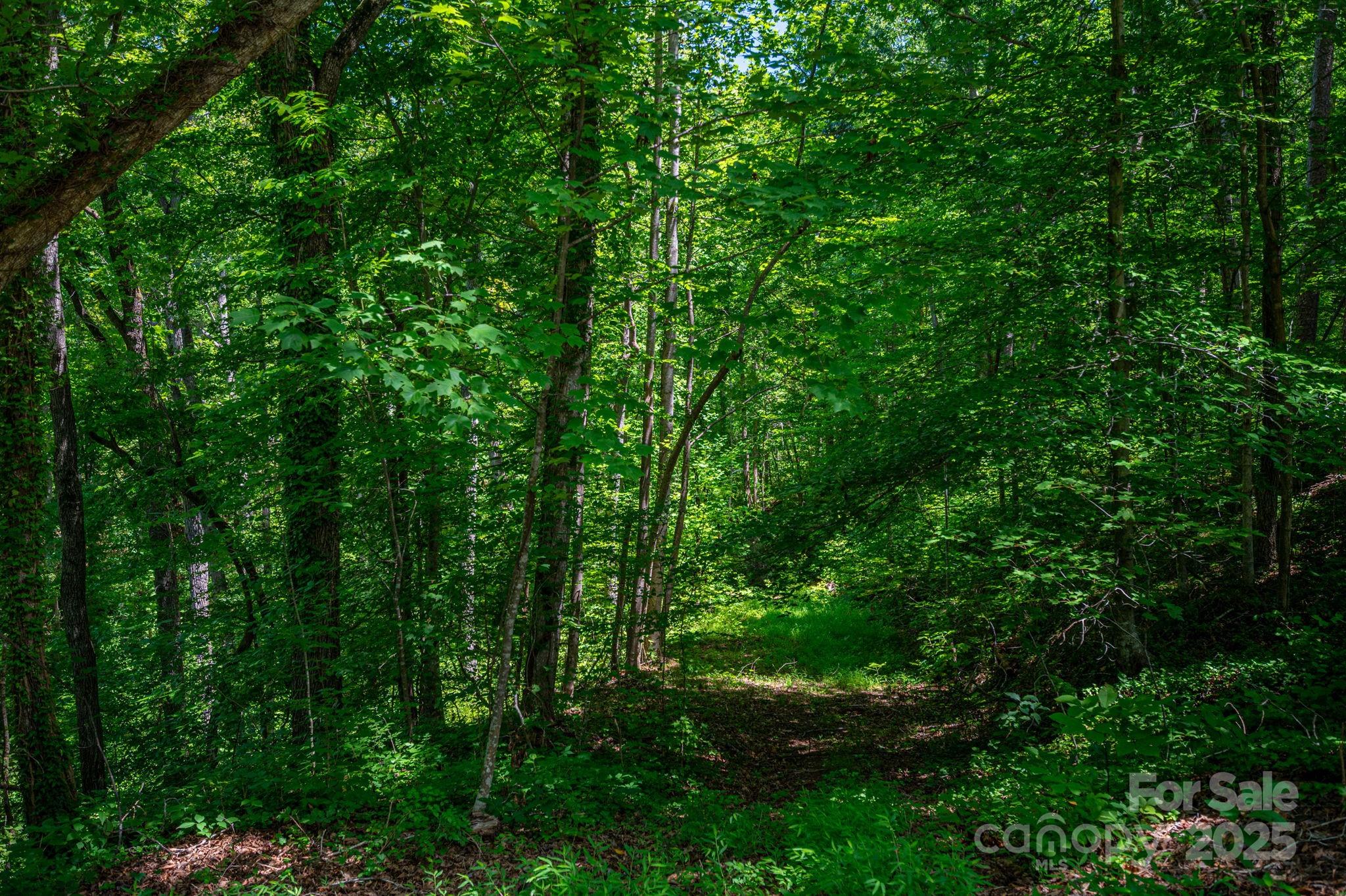 LOT 168 Plantation Drive