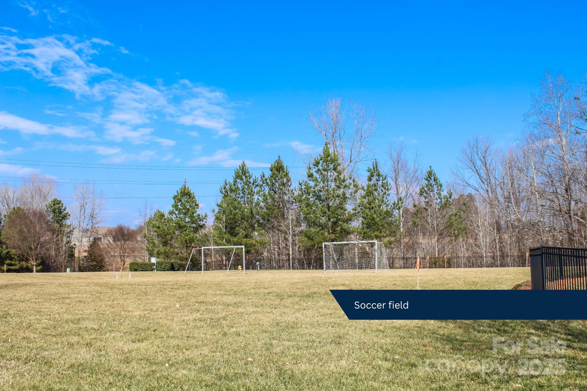 The Vineyards on Lake Wylie - Residential