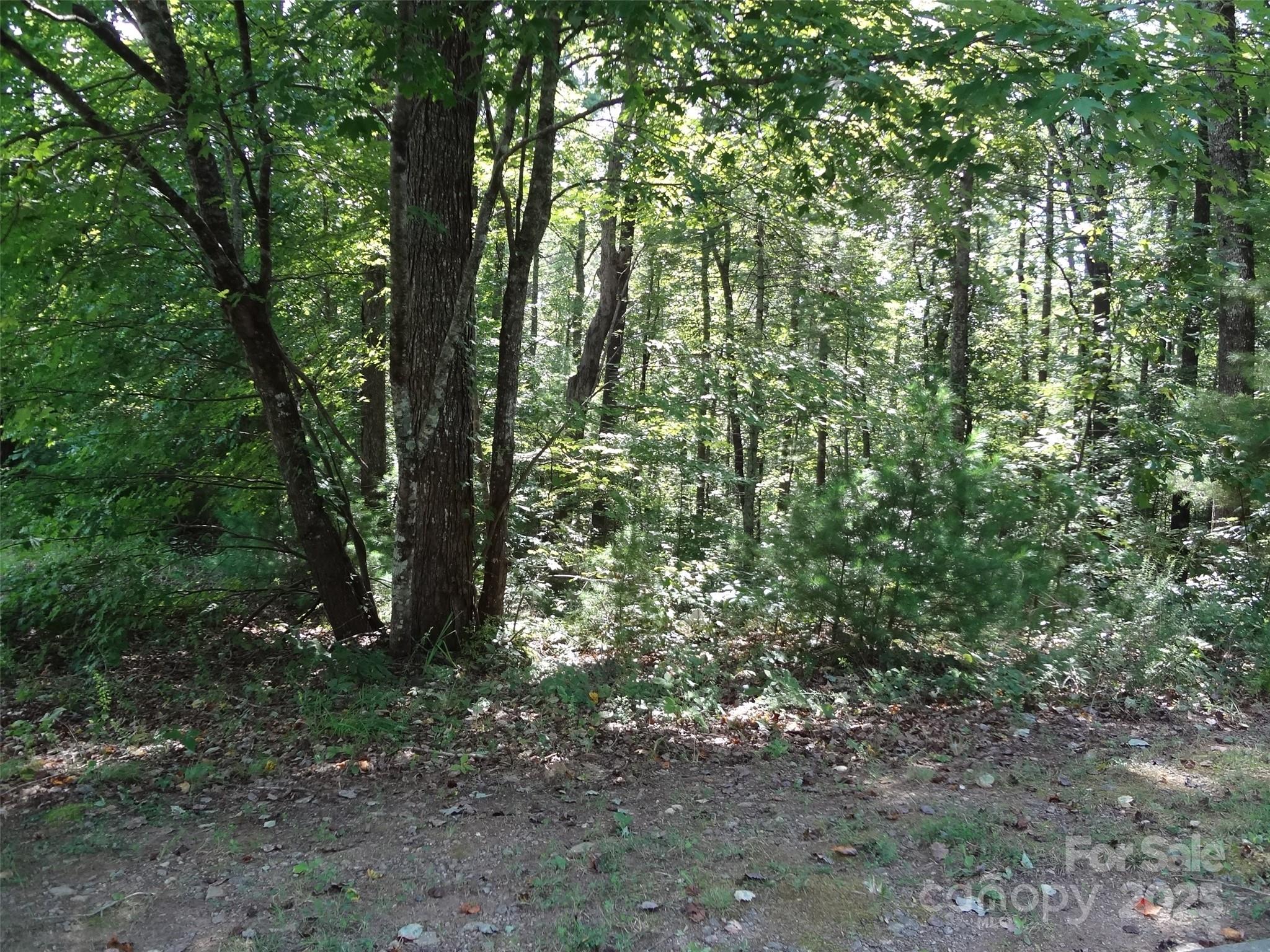 1335 Prince William Drive NE 10