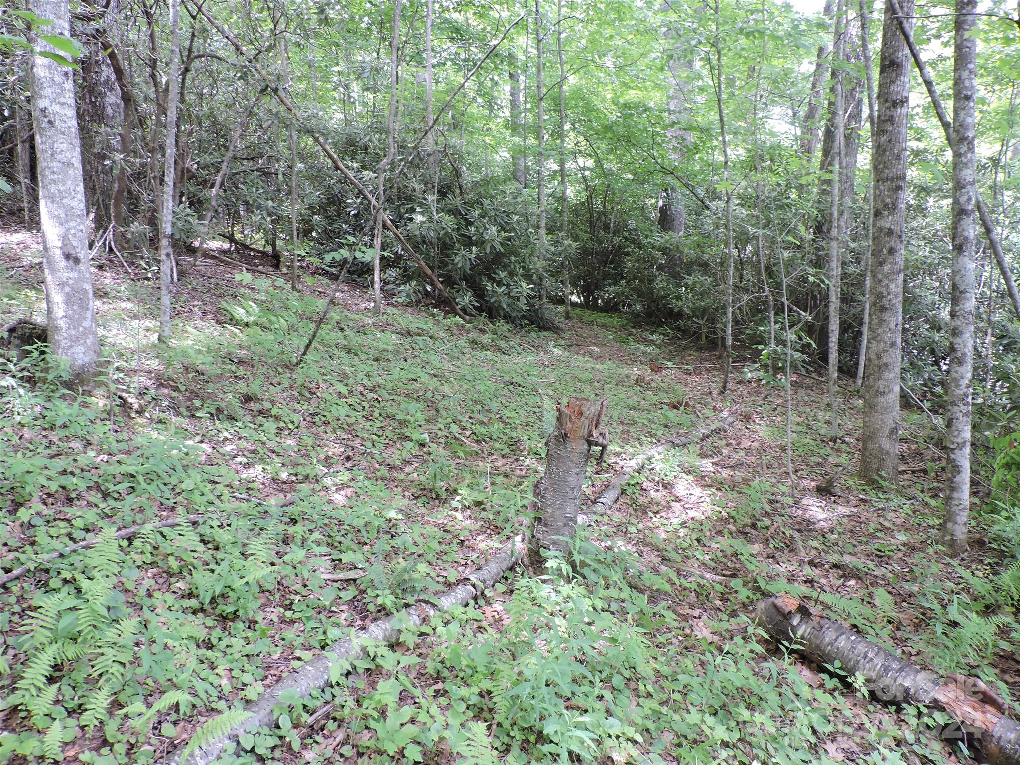 00 South Toe River Road lot 2