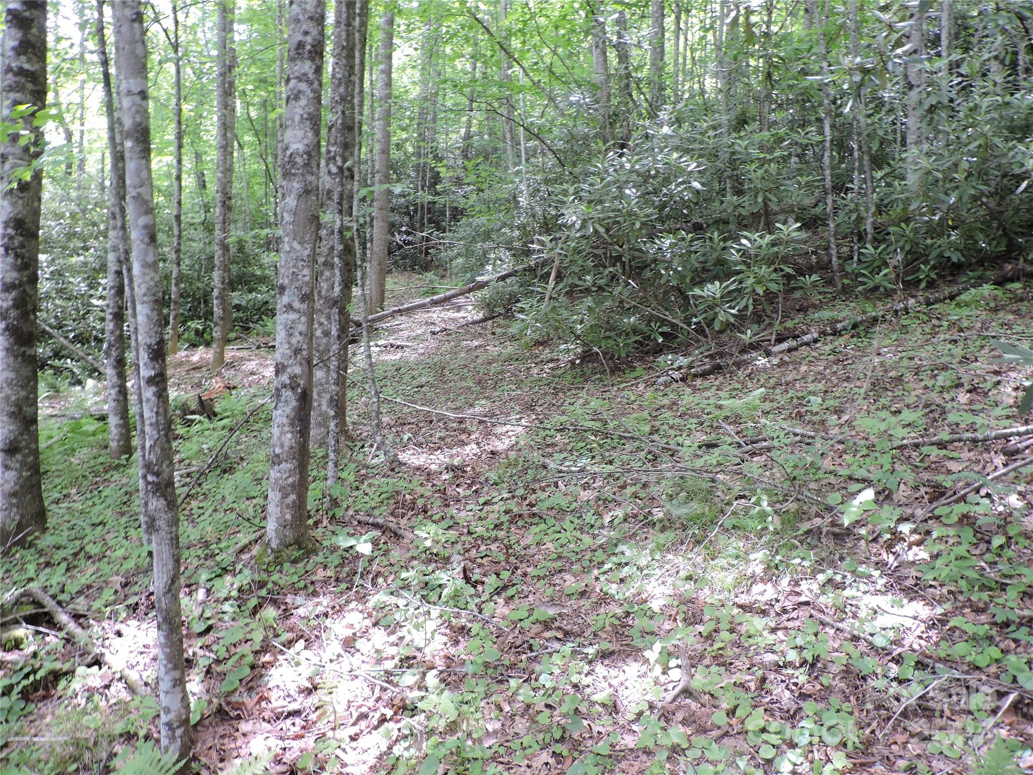 00 South Toe River Road lot 2