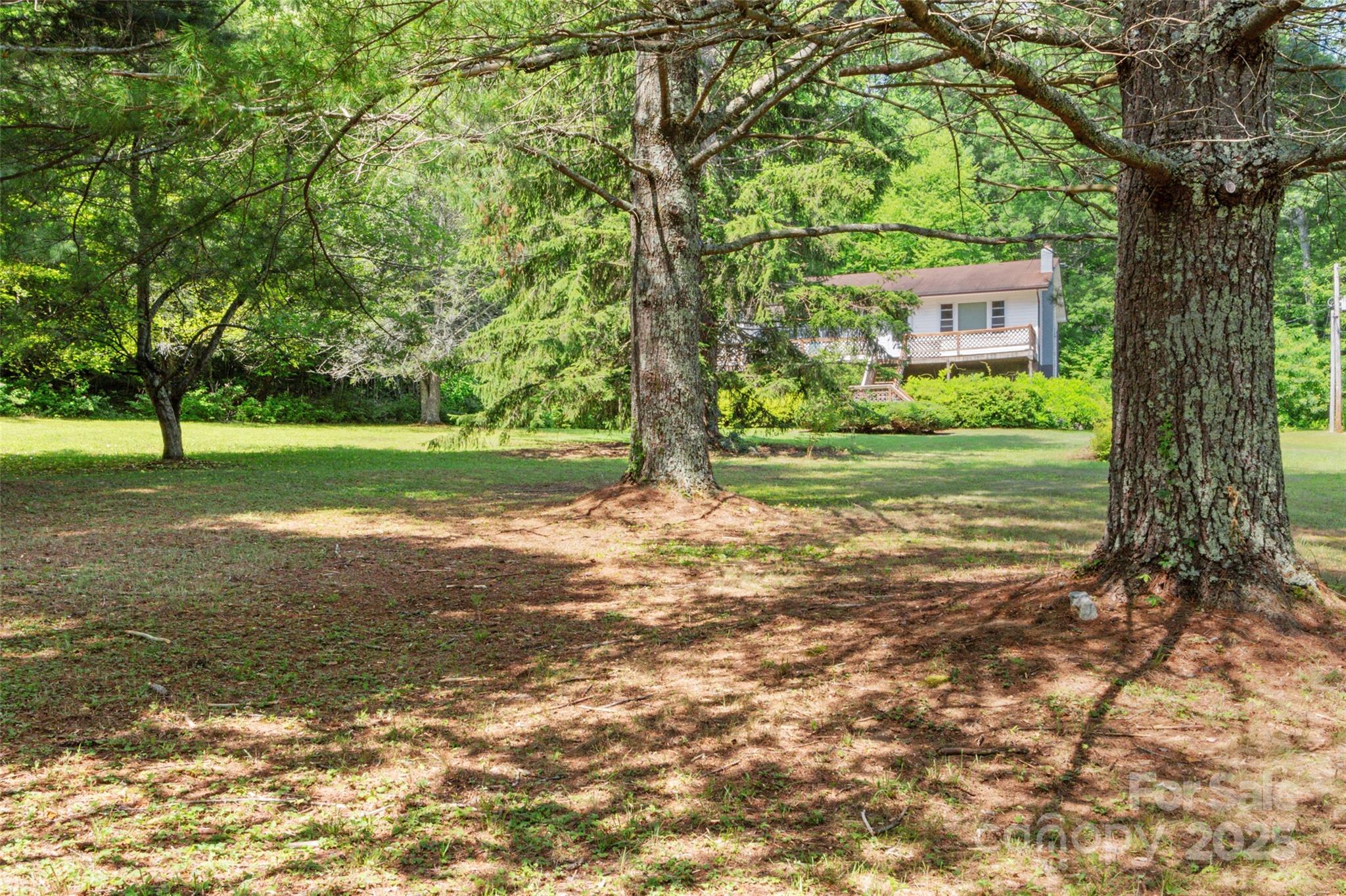 50 Kaesler Lane
