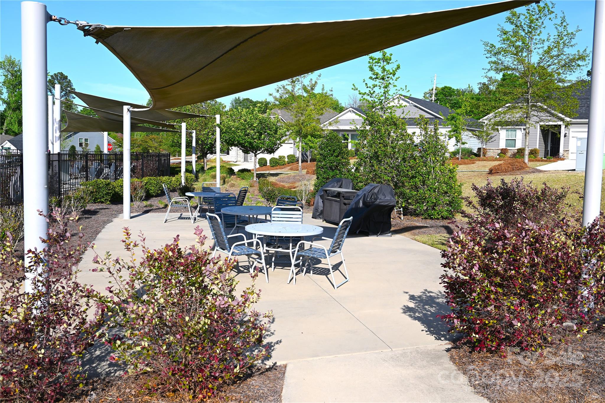 4171 Canopy Creek Drive