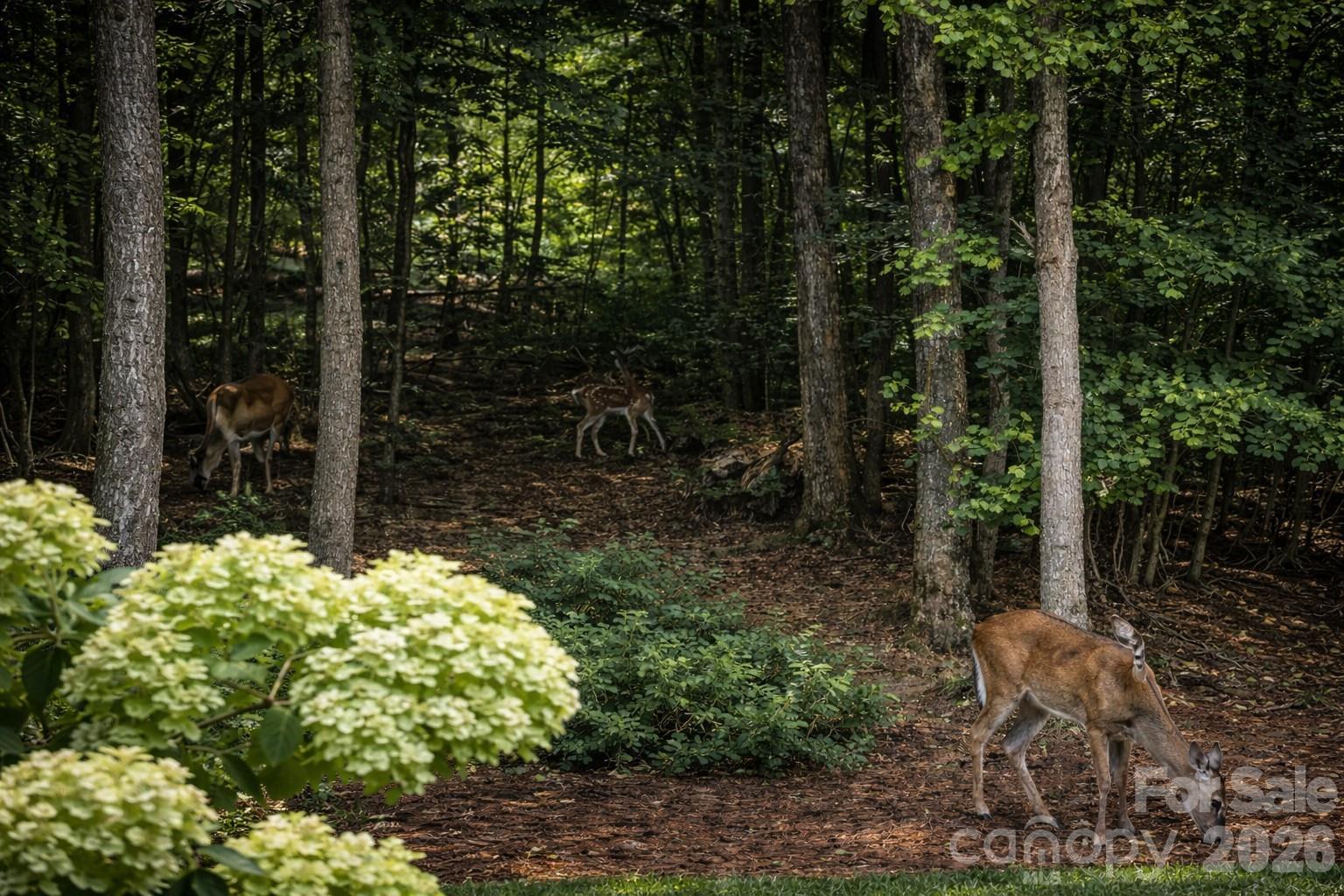 Belle Glade - Residential