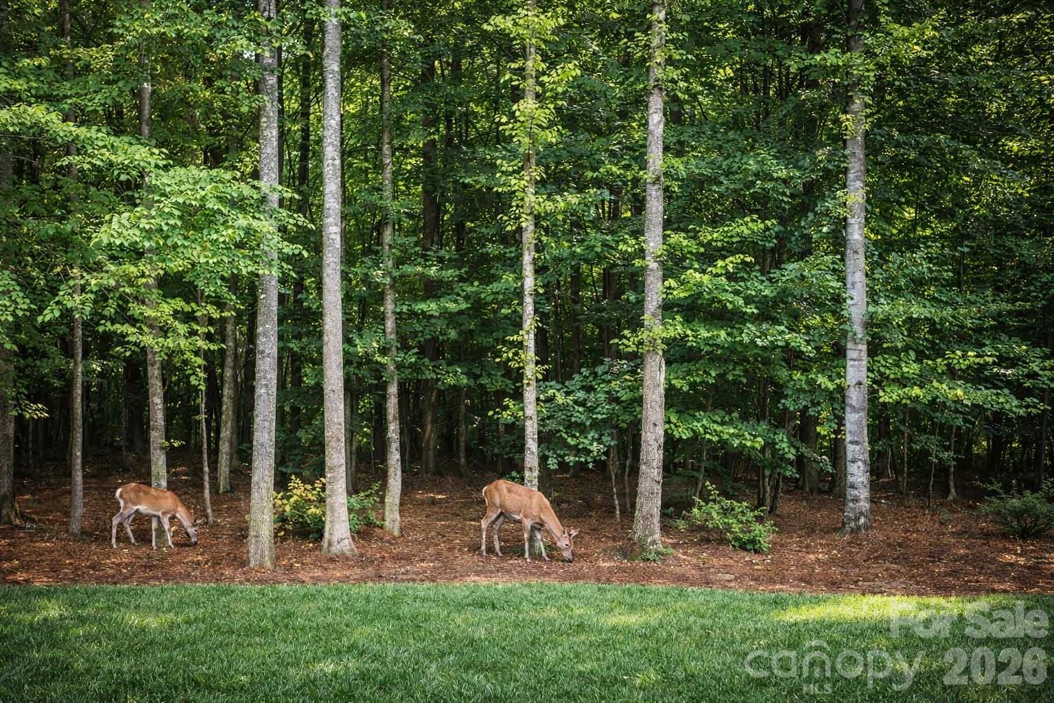 Belle Glade - Residential
