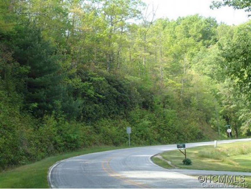 Unrestricted land,private but near the main road,nice views, great place for a home or motorhome to be able to enjoy the mountains.  Just across the street is a nice stream.  From this property you can enjoy fishing,hiking and biking - just moments from the Blue Ridge Parkway. About 25 minutes from downtown Brevard.-