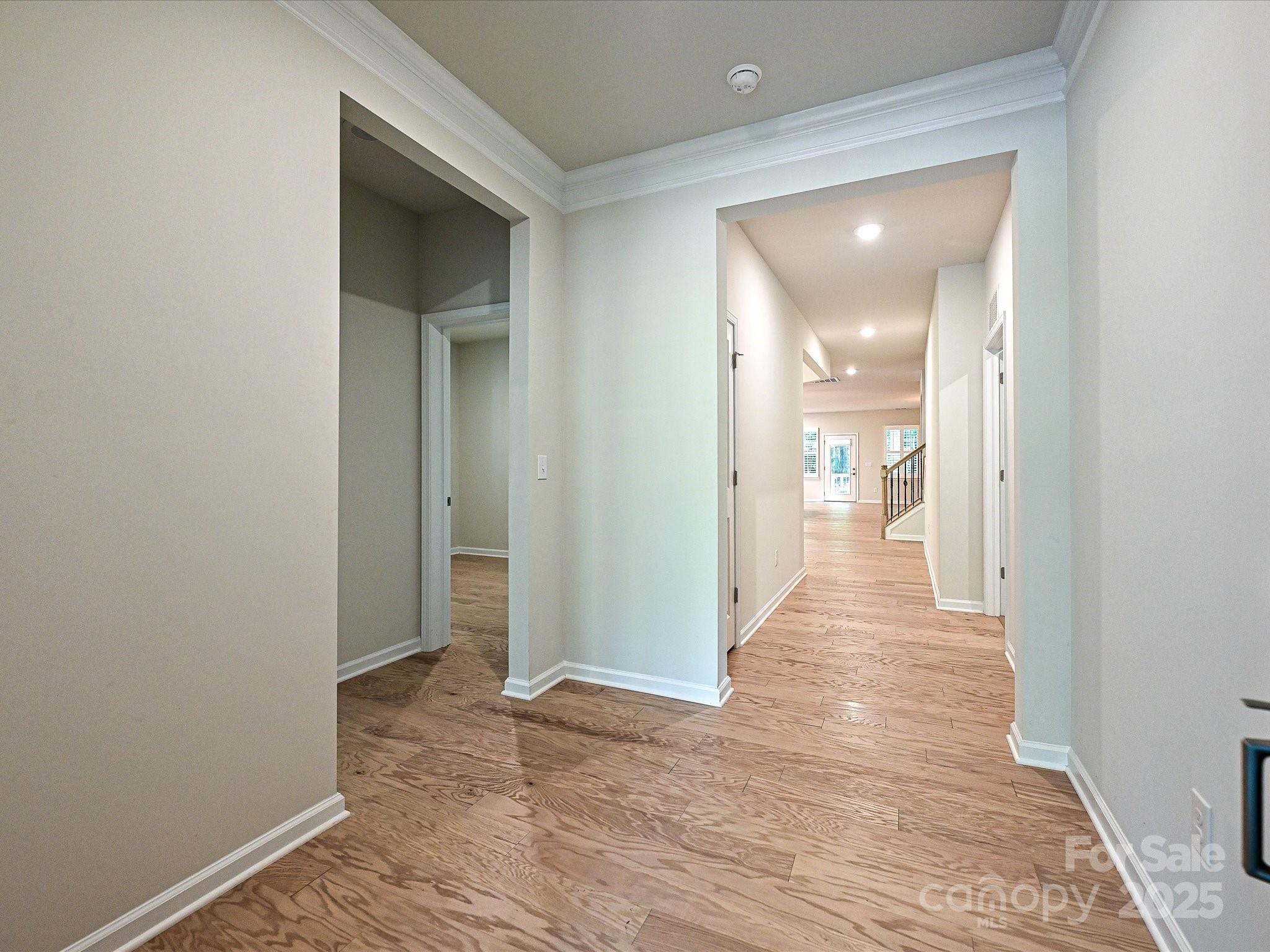 13013 Cinnamon Fern Lane