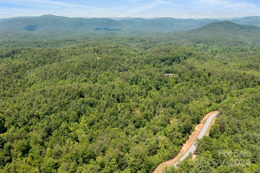 Forest Creek - Land