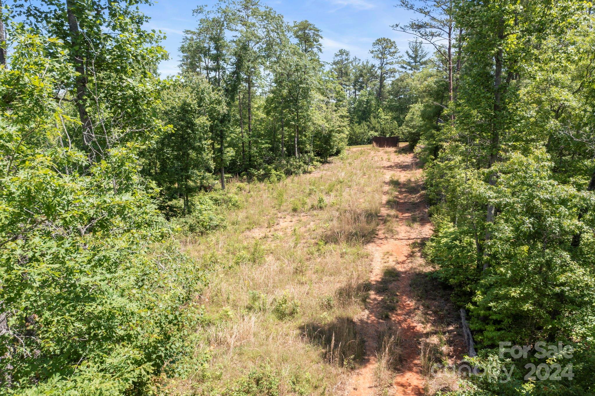 Forest Creek - Land
