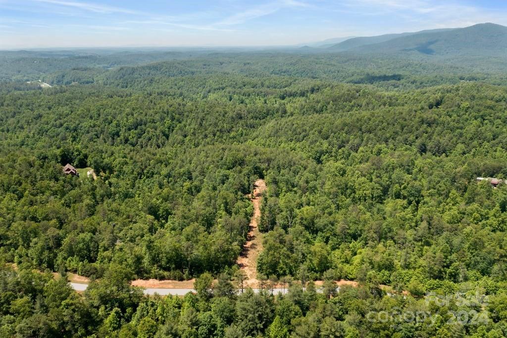 Forest Creek - Land