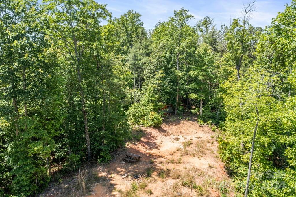 Forest Creek - Land