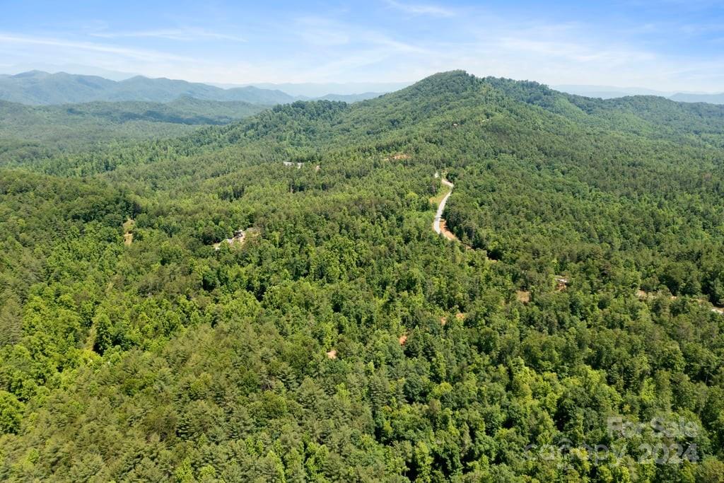Forest Creek - Land