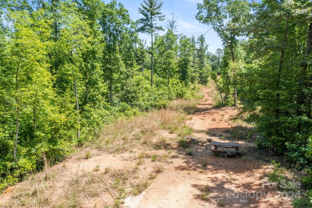 Forest Creek - Land