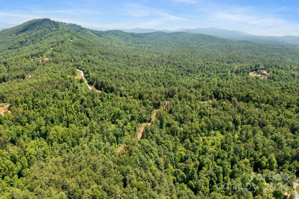 Forest Creek - Land