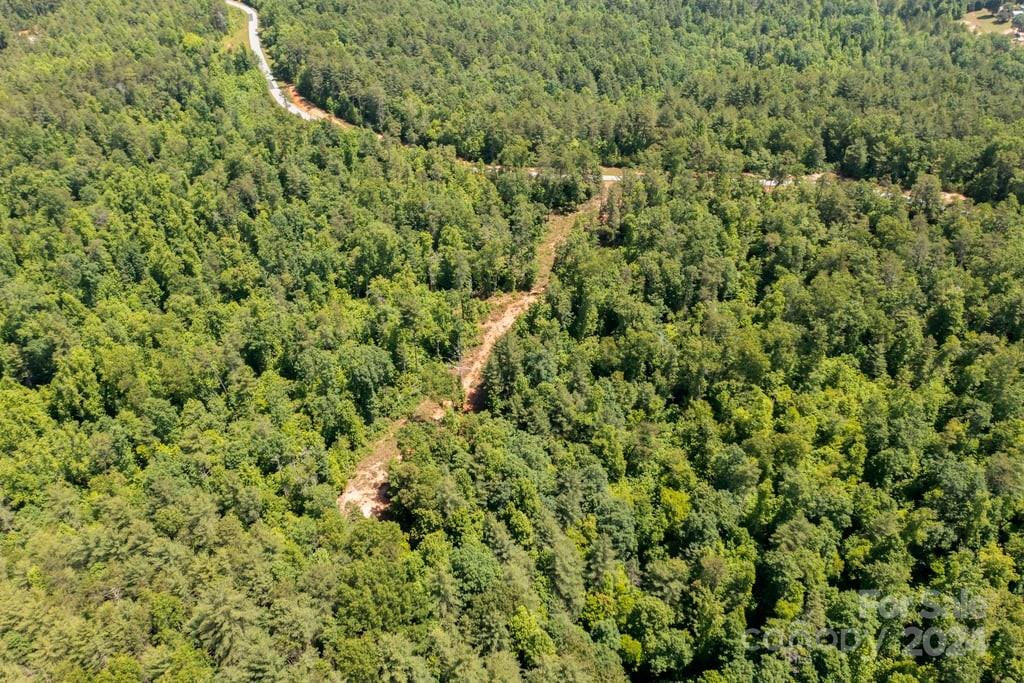Forest Creek - Land