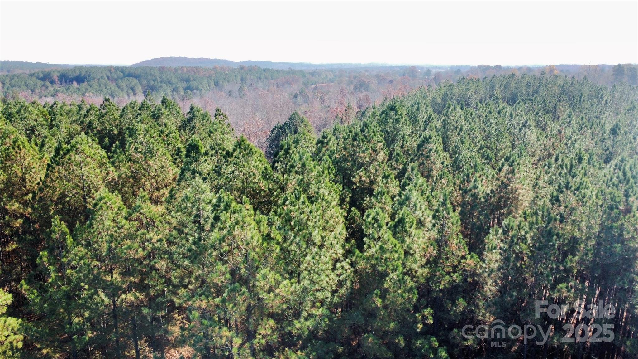 Broad River Highlands - Land