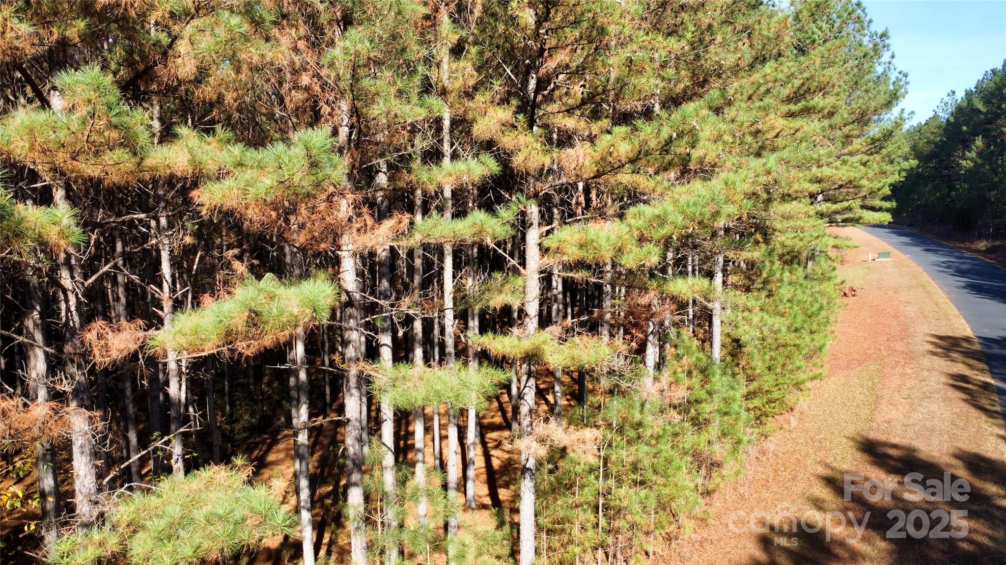 Broad River Highlands - Land