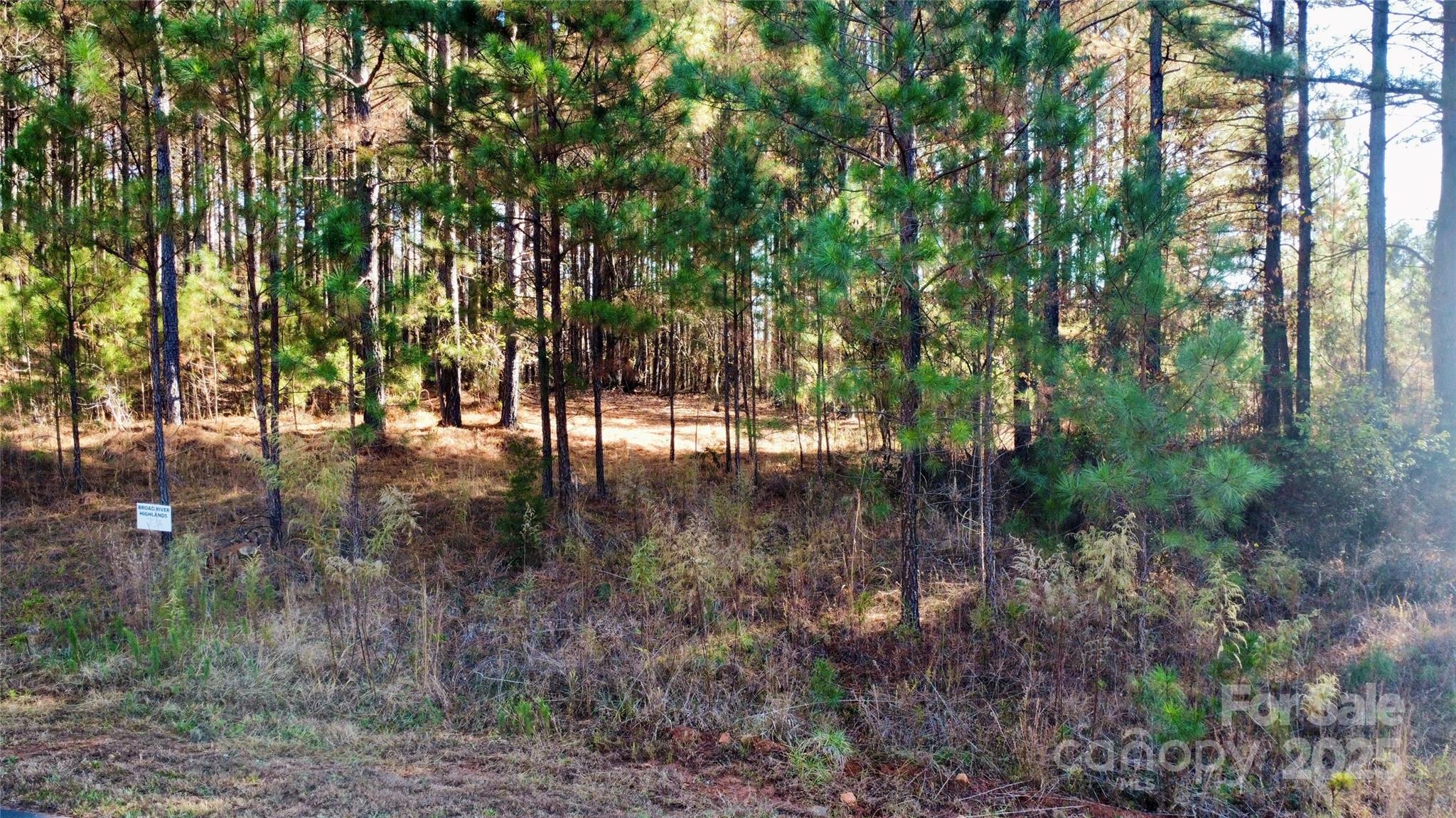 Broad River Highlands - Land