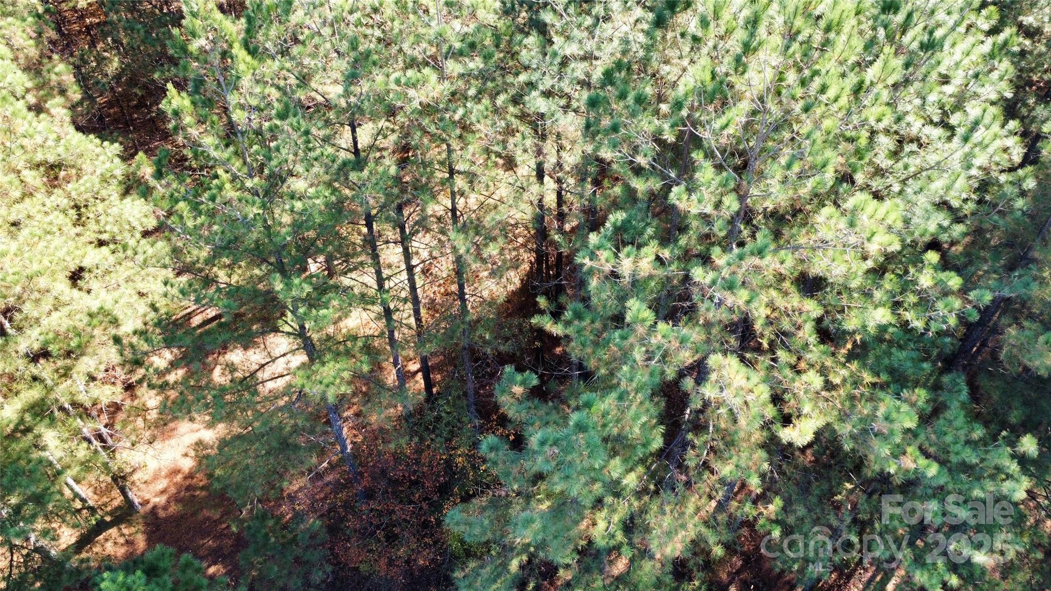 Broad River Highlands - Land