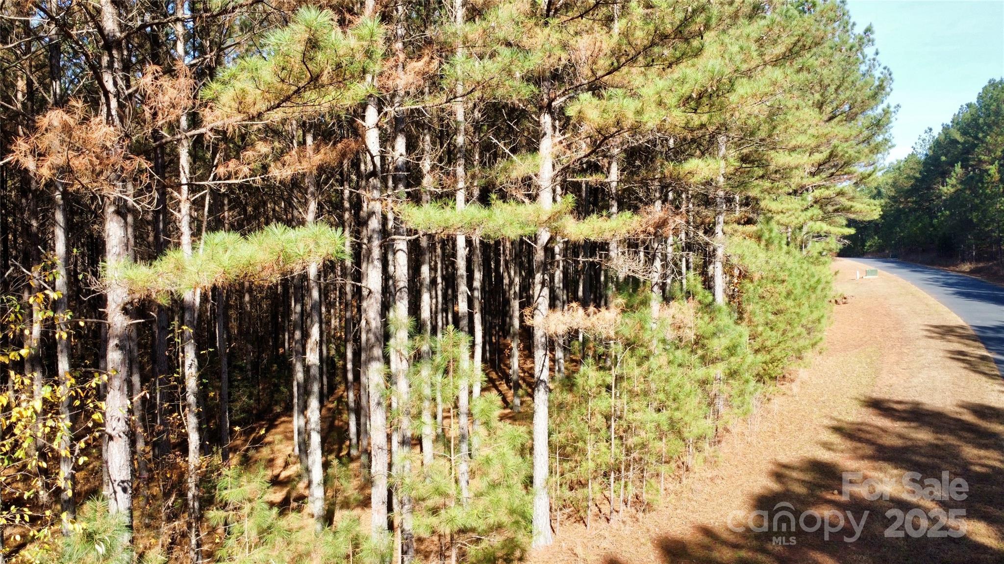 Broad River Highlands - Land