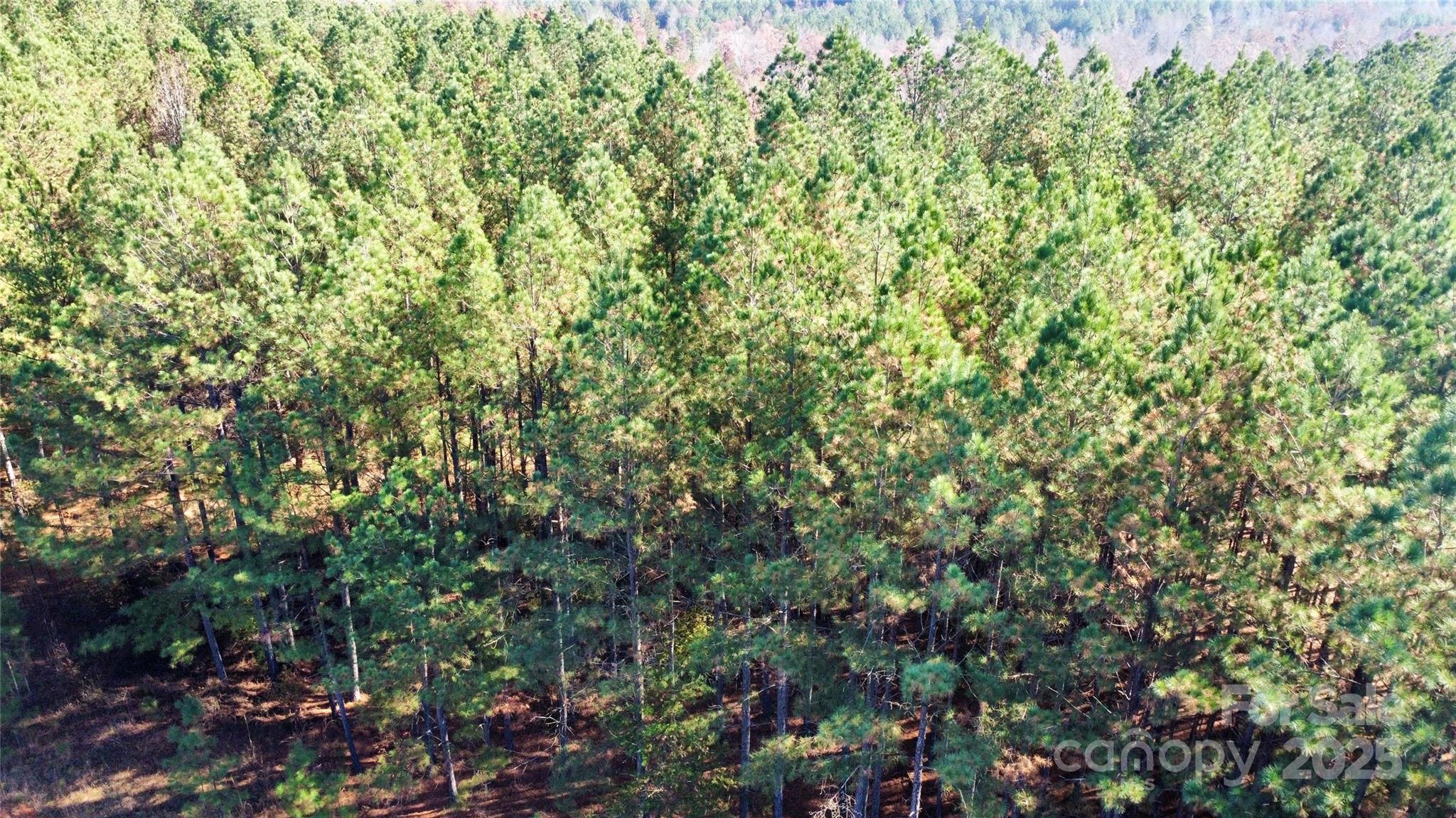 Broad River Highlands - Land