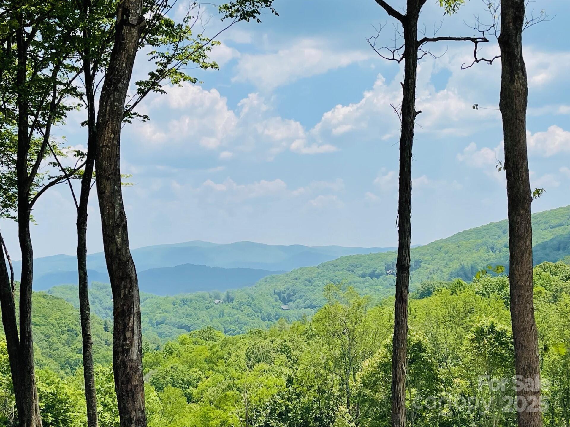 0 Lee Gualtney Road 15