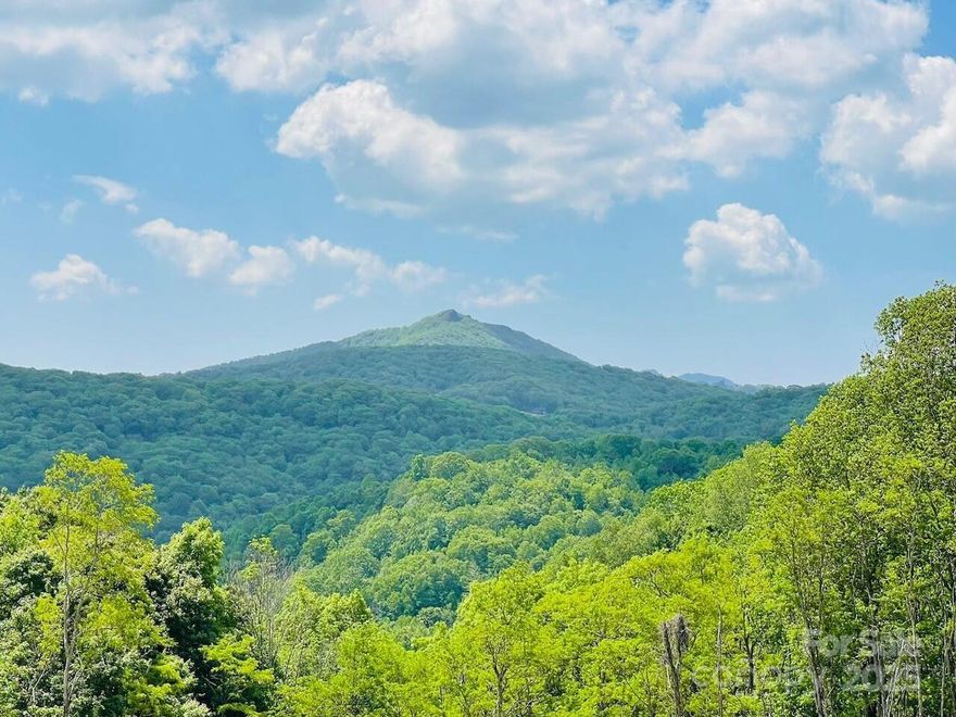 This stunning natural mountain view has almost an acre (0.93) and hard to find. It is located in a serene mountain setting, surrounded by natural beauty. This lot allows you to build whatever you dreamed house or rental house . With no deadlines to build and a minimum build requirement of 875 sqft. Very easy access and enjoy the four seasons beautiful views. It only minutes to Beech Mountain, Grandfather Mountain, and Ski Resort! Don't miss out on the chance to make it yours! Now there are 5 houses finished on the street. Please see the picture of neighbour's unfinished house. This is the highest elevation lot with best panoramic view in front $ back. The best thing is that the land is flat. Elk Run homeowners enjoy low maintenance fees and unwanted amenities.