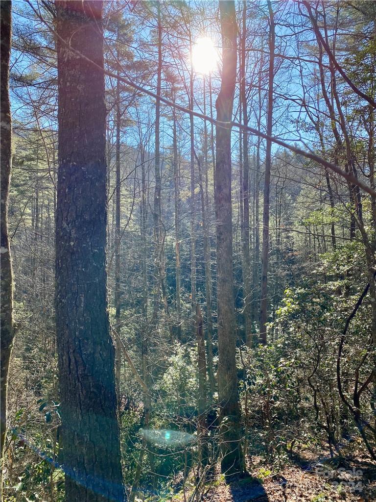 Round Mountain Falls - Land