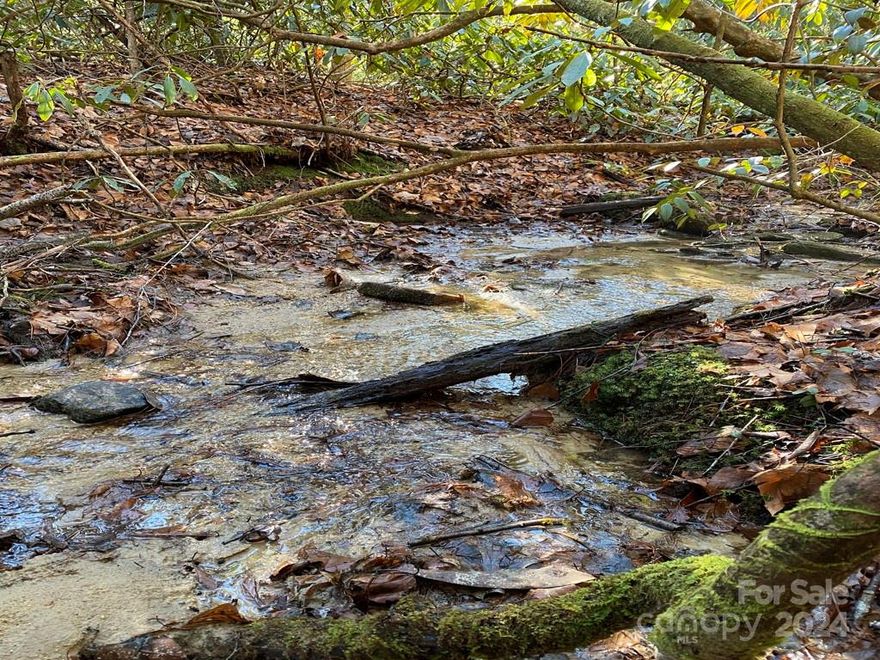 4+ lovely acres in Round Mountain Falls with a stream meandering through the property.  Lot 41 is perfect for a year round residence or second home in this private high end gated community.  Located a short drive from Brevard, Lake Toxaway, Pisgah National Forest, Gorges and Dupont State Forests.