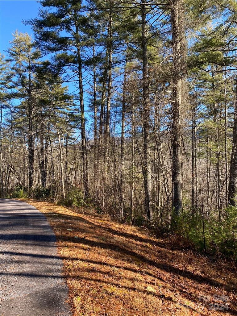 Round Mountain Falls - Land