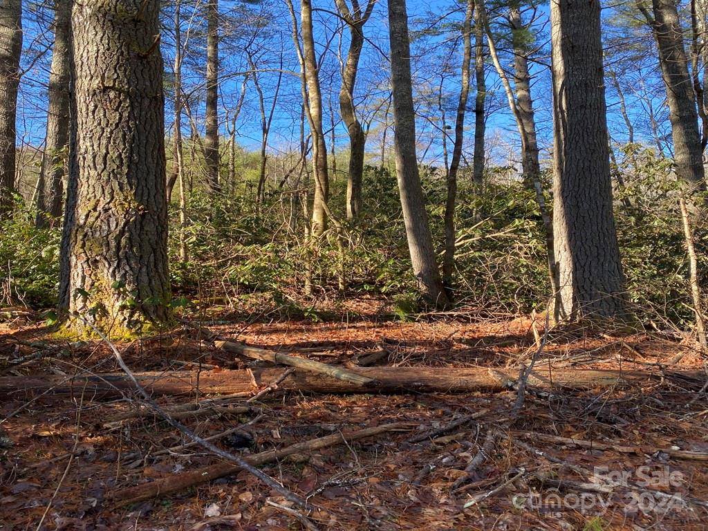 L41 Abby Falls Road L41