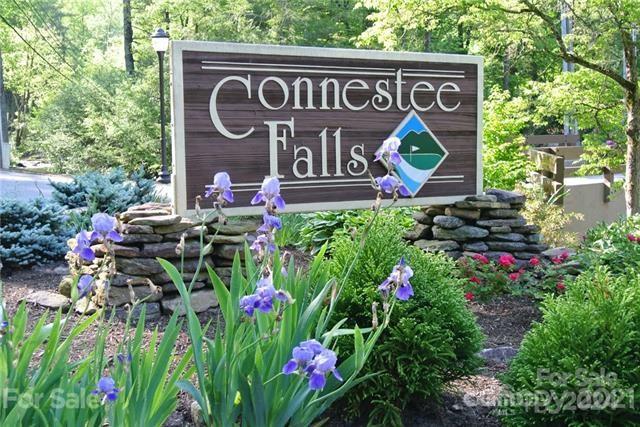 Connestee Falls - Residential